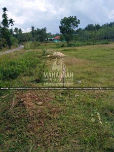 MEGSB: Kerja Awalan 01