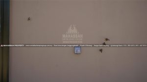 MEGSB: Kemasan Dinding 08